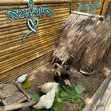 Greenheart Garden View Camp Phuket Pantai Kata Bagian luar foto