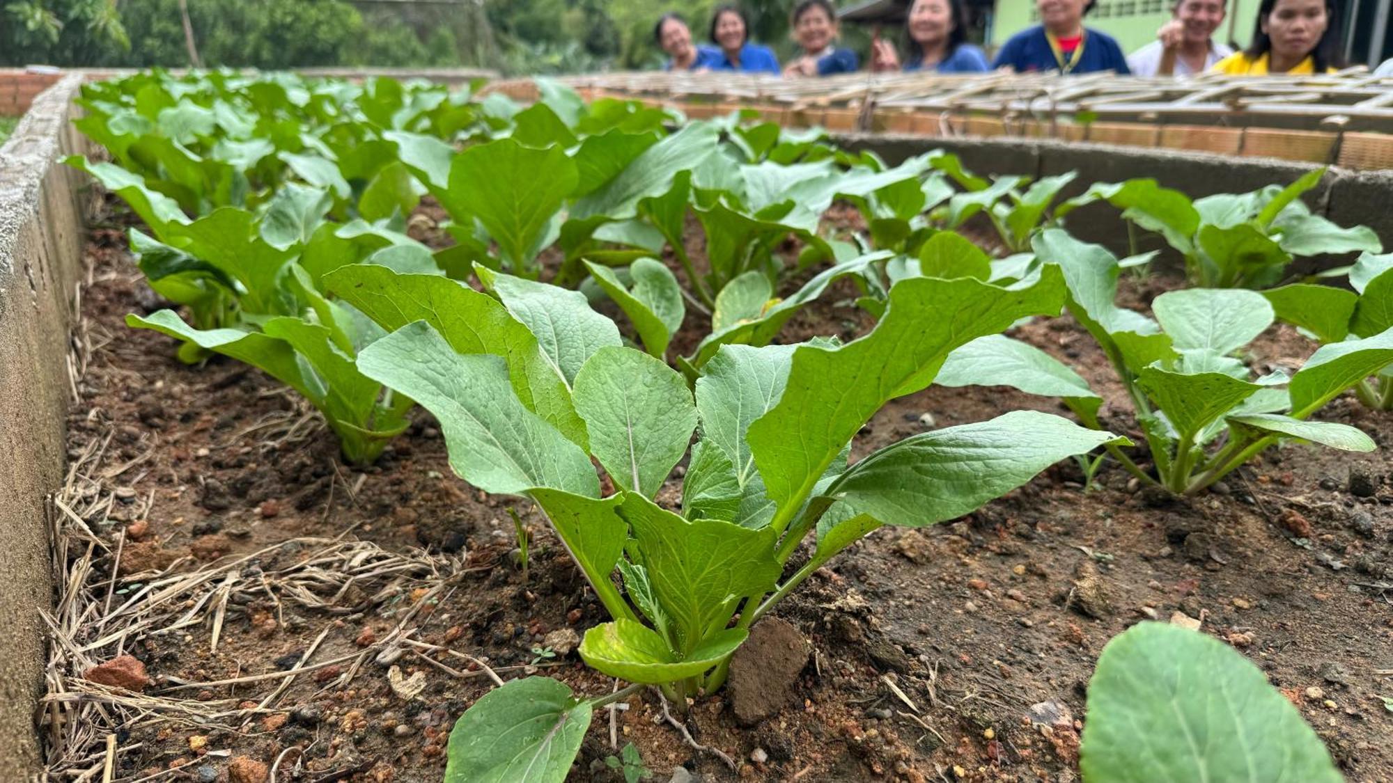 Greenheart Garden View Camp Phuket Pantai Kata Bagian luar foto